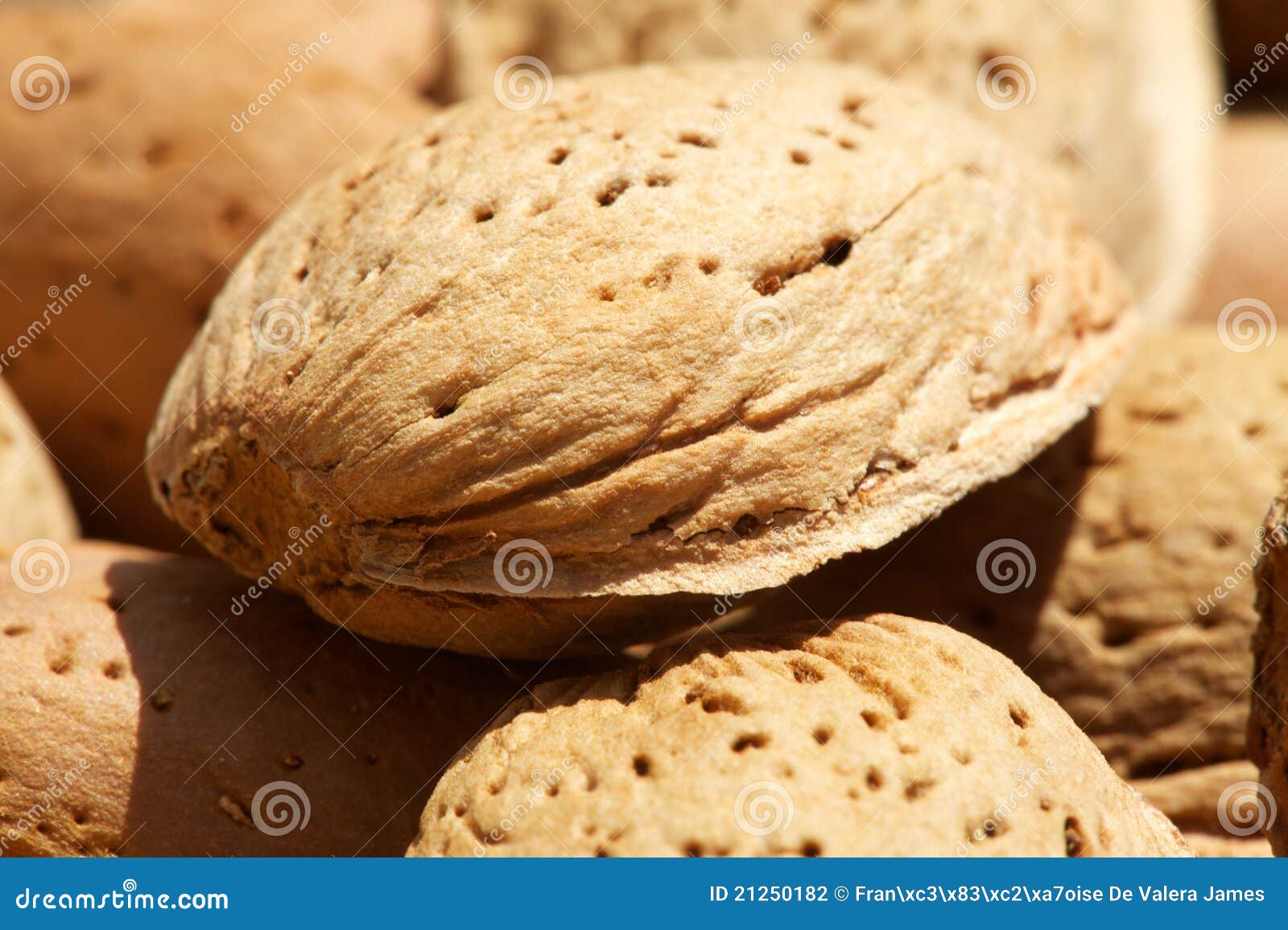 Almonds (unshelled) stock photo. Image of shell, sunlit 21250182