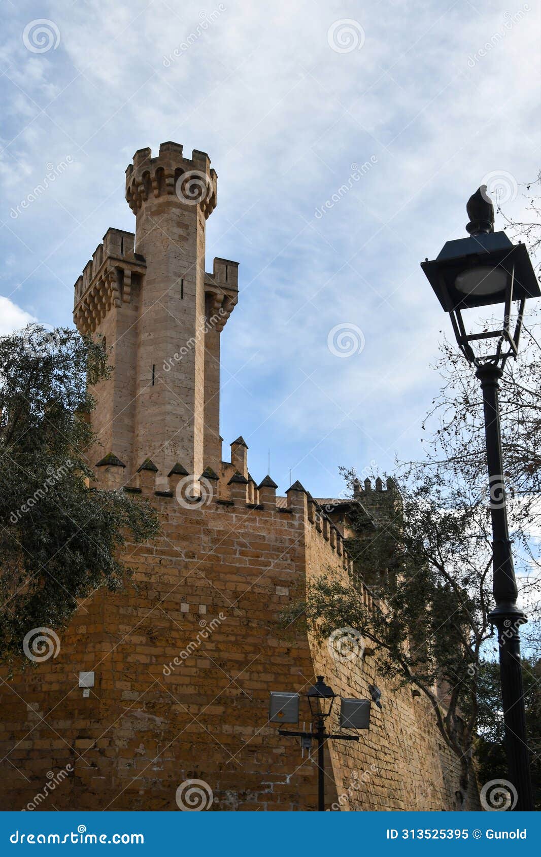 almudaina palace in palma de mallorca