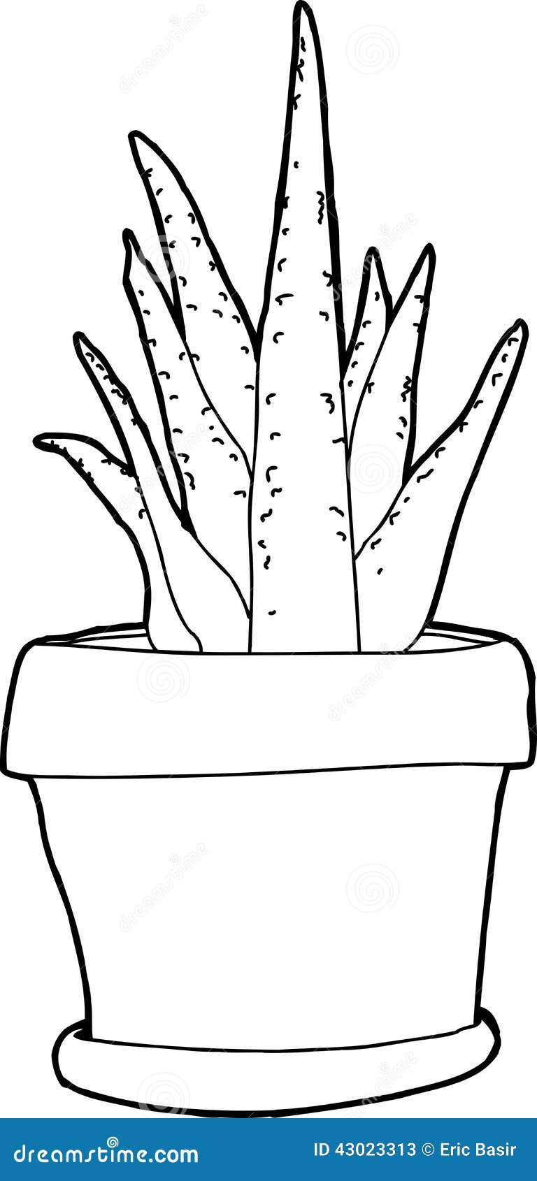 Aloe Plant Outline stock vector. Illustration of cartoon - 43023313
