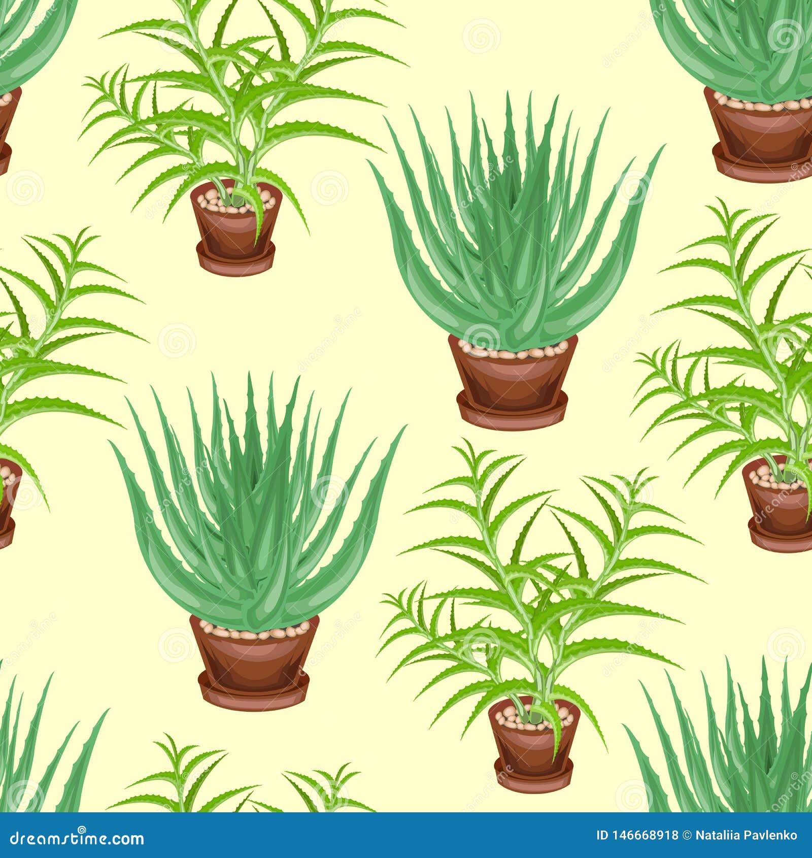 Aloe Tree and Aloe Vera in Pots on a Green Background. Seamless Pattern  Stock Illustration - Illustration of favorite, flora: 146668918