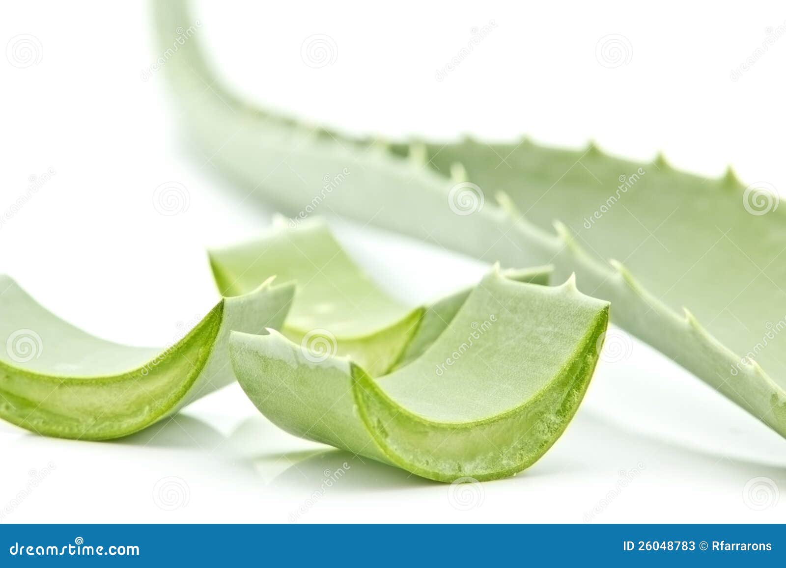 Aloe Vera stock image. Image of cure, purity, herbal 26048783