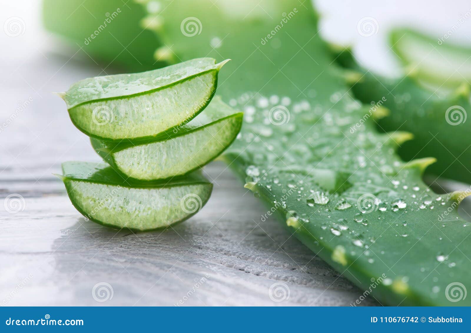 aloe vera closeup. sliced aloevera natural organic renewal cosmetics, alternative medicine. organic skincare concept