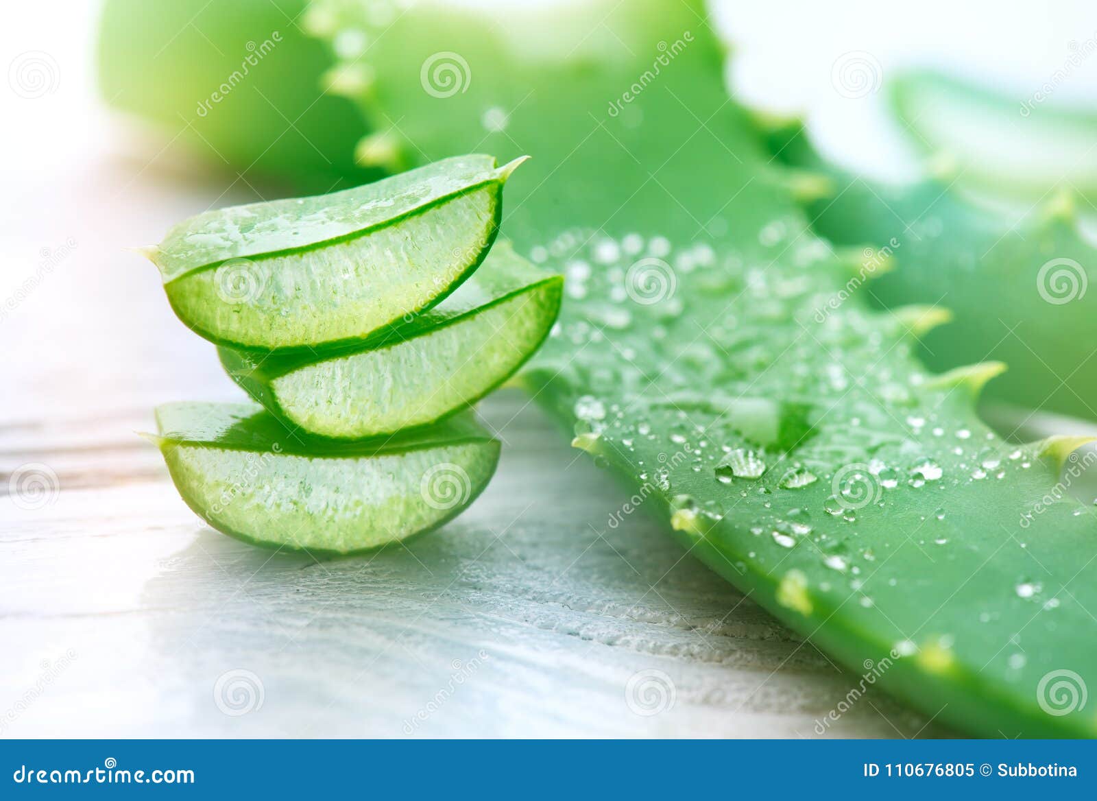 aloe vera closeup. sliced aloevera natural organic renewal cosmetics, alternative medicine. organic skincare concept