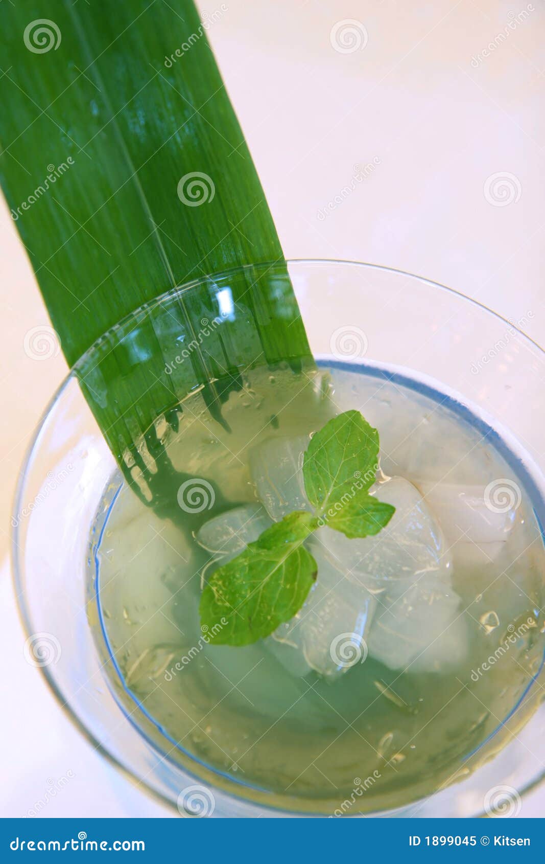 Aloe Vera Dessert Stock Image Image Of Chilled Herbal 1899045