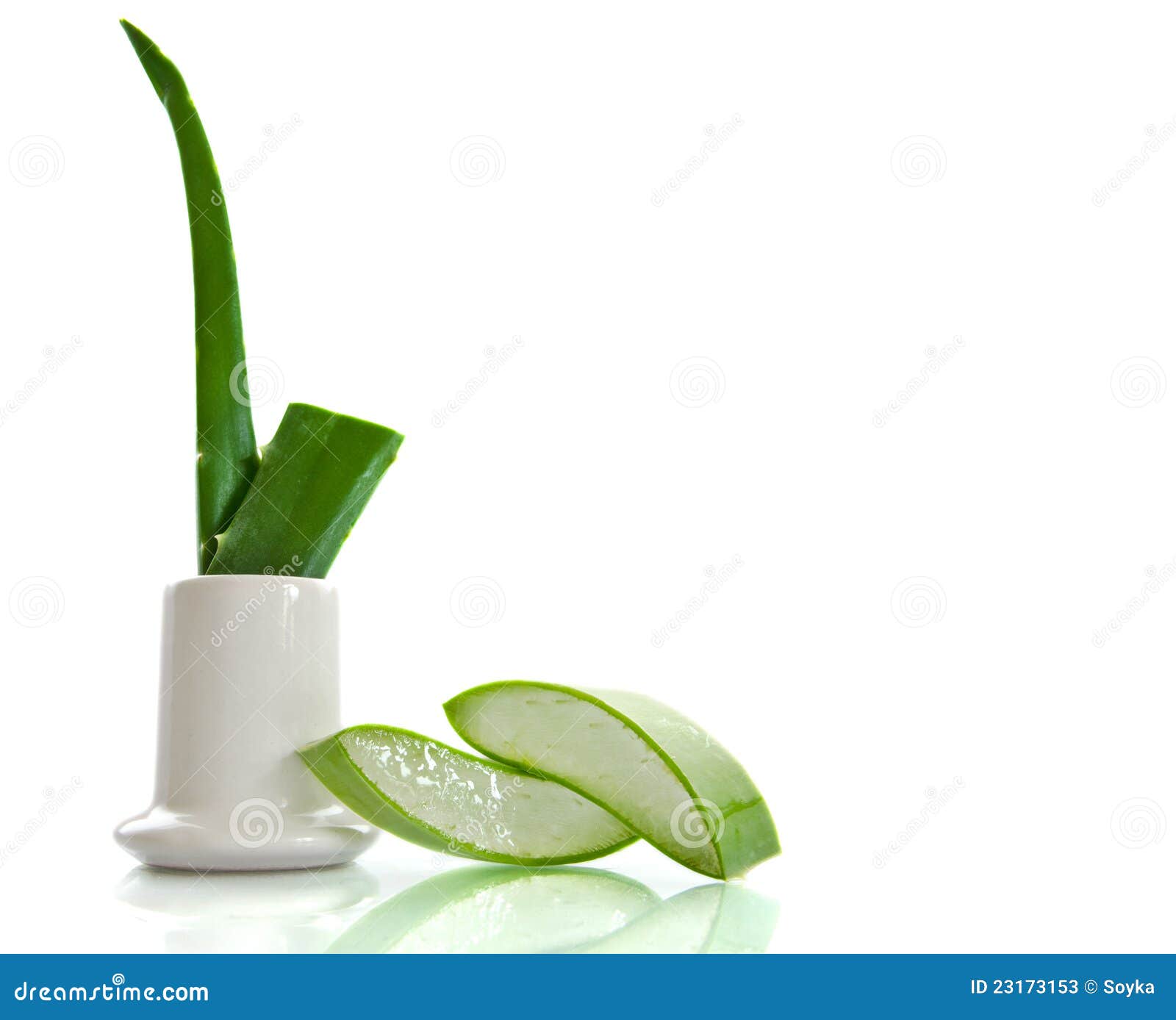Aloe Vera Herbal Medicine Stock Image Image of flora, close 23173153