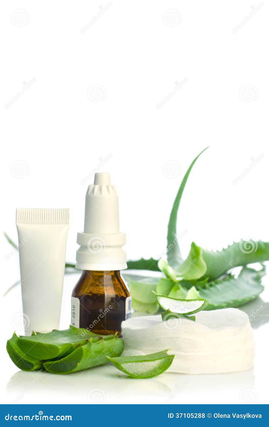 Aloe vera herbal medicine stock photo. Image of plant 37105288