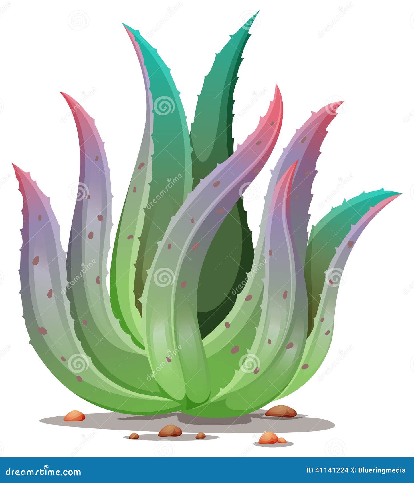 An aloe vera plant stock vector. Illustration of pendulous ...