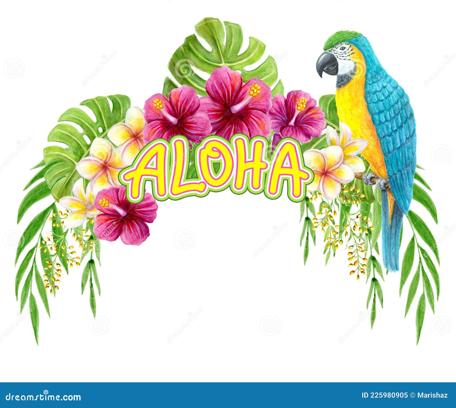 hawaiian clip art background