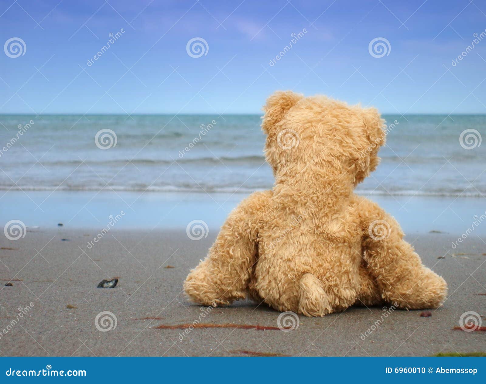 Alone And Lonely Stock Photo Image 6960010