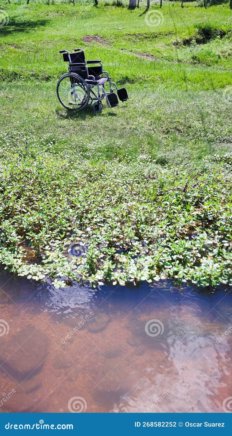 Alone Wheelchair on the Grass Next To a River, Suitable for Any