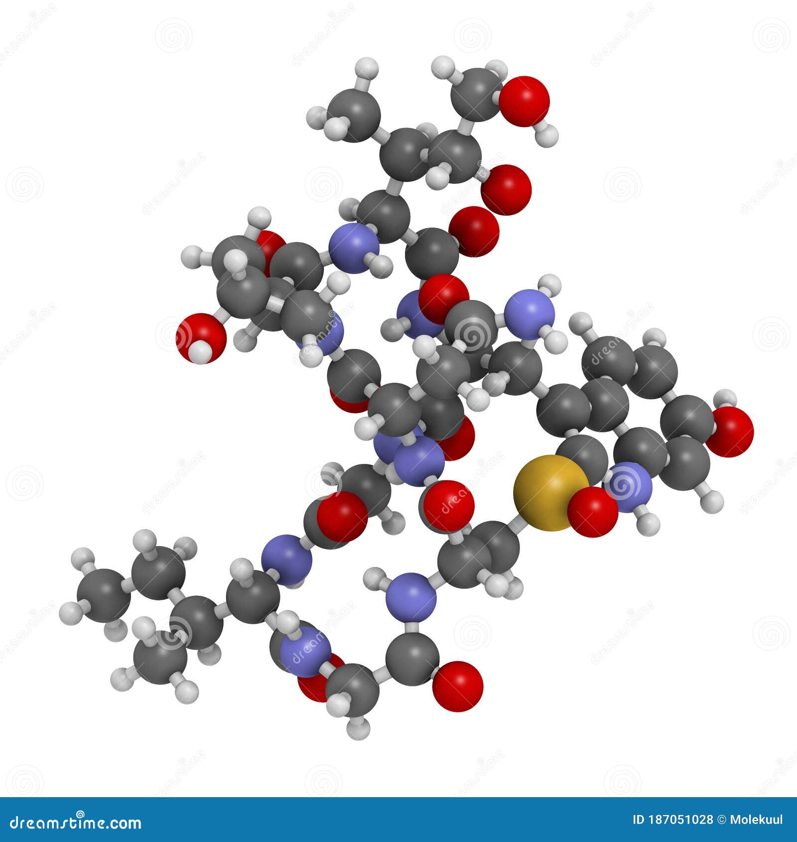 alpha-amanitin death cap toxin molecule. present in many amanita mushrooms. atoms are represented as spheres with conventional