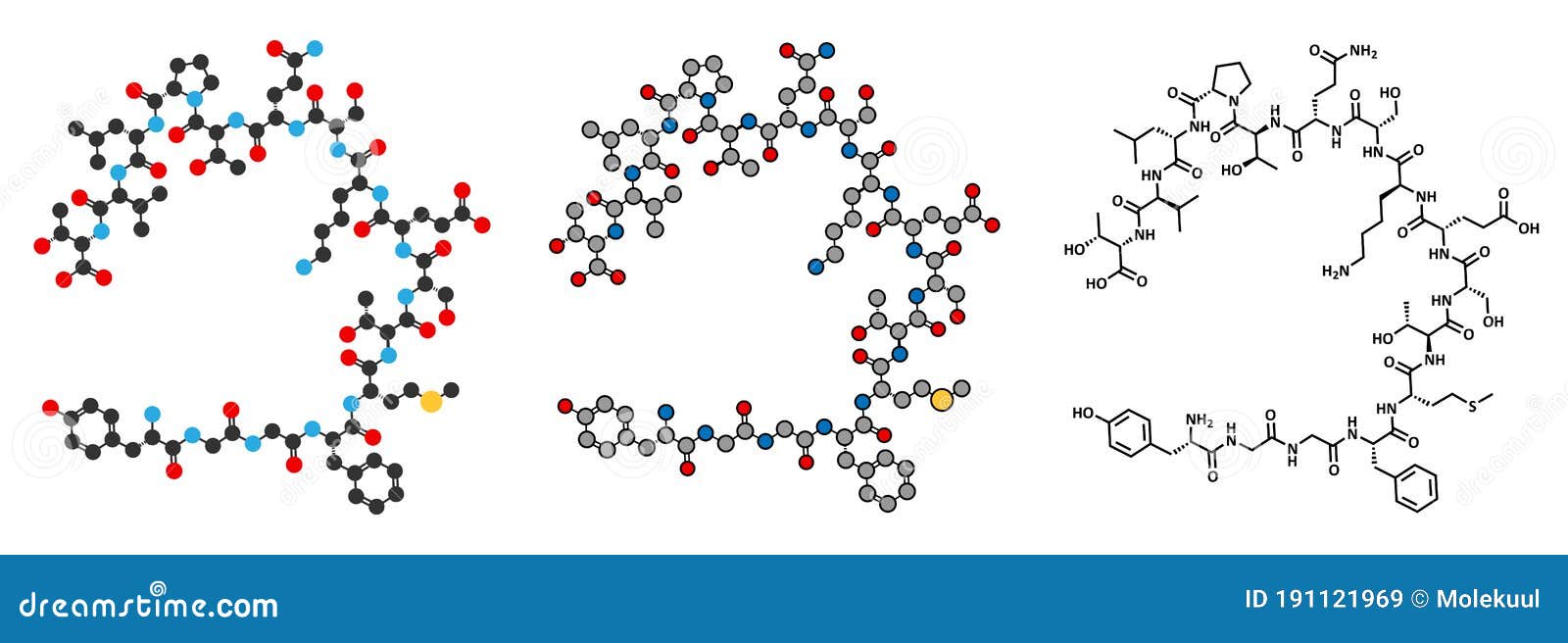 alpha-endorphin endogenous opioid peptide molecule