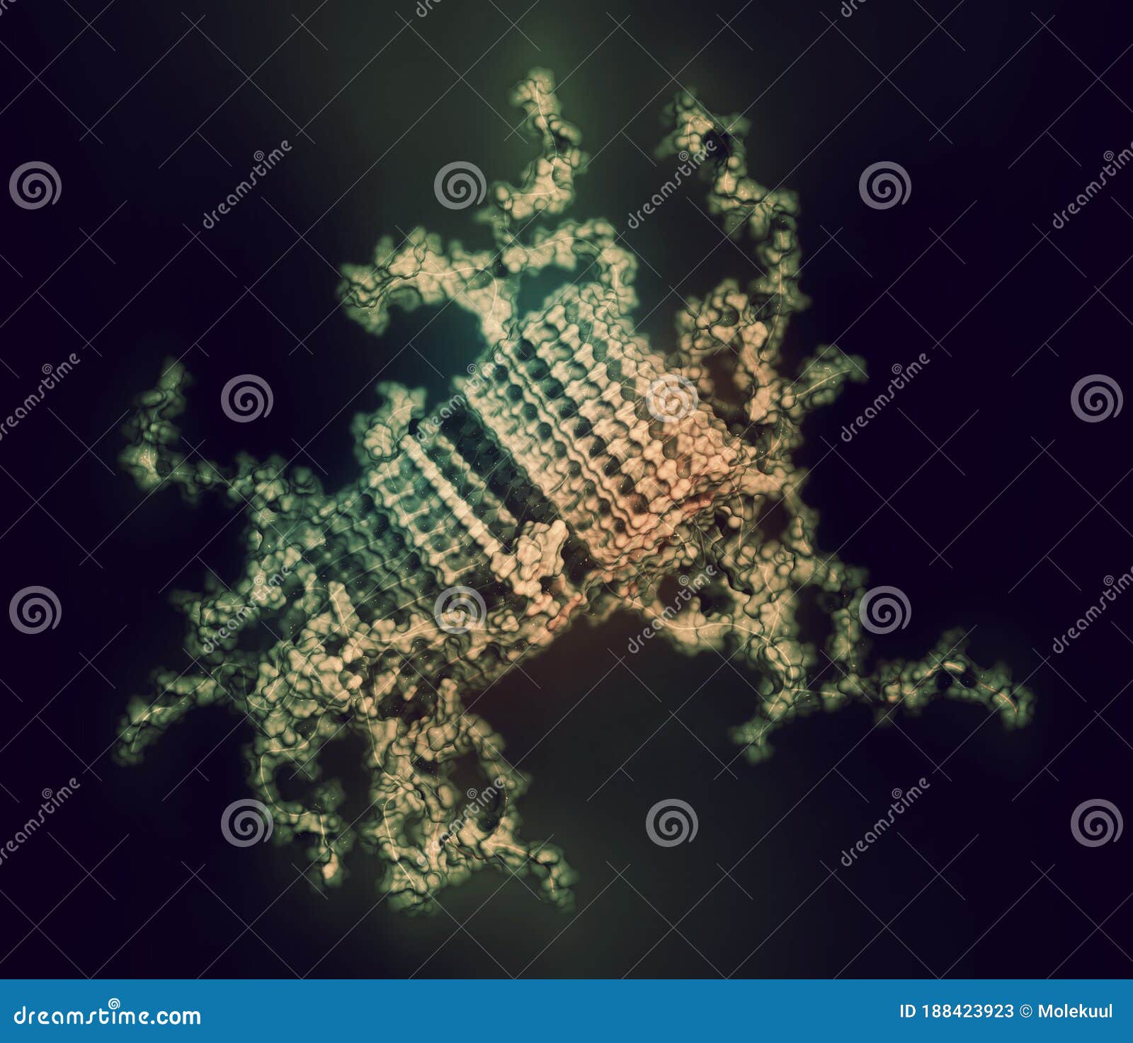 alpha-synuclein fibril structure, determined by solid-state nmr. thought to play a role in diseases including parkinson`s disease