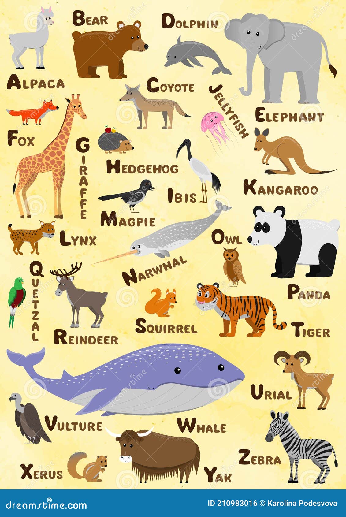 Alphabet and Animal Vector Set. Illustration. Education for Children,  Poster. Stock Vector - Illustration of safari, baby: 210983016