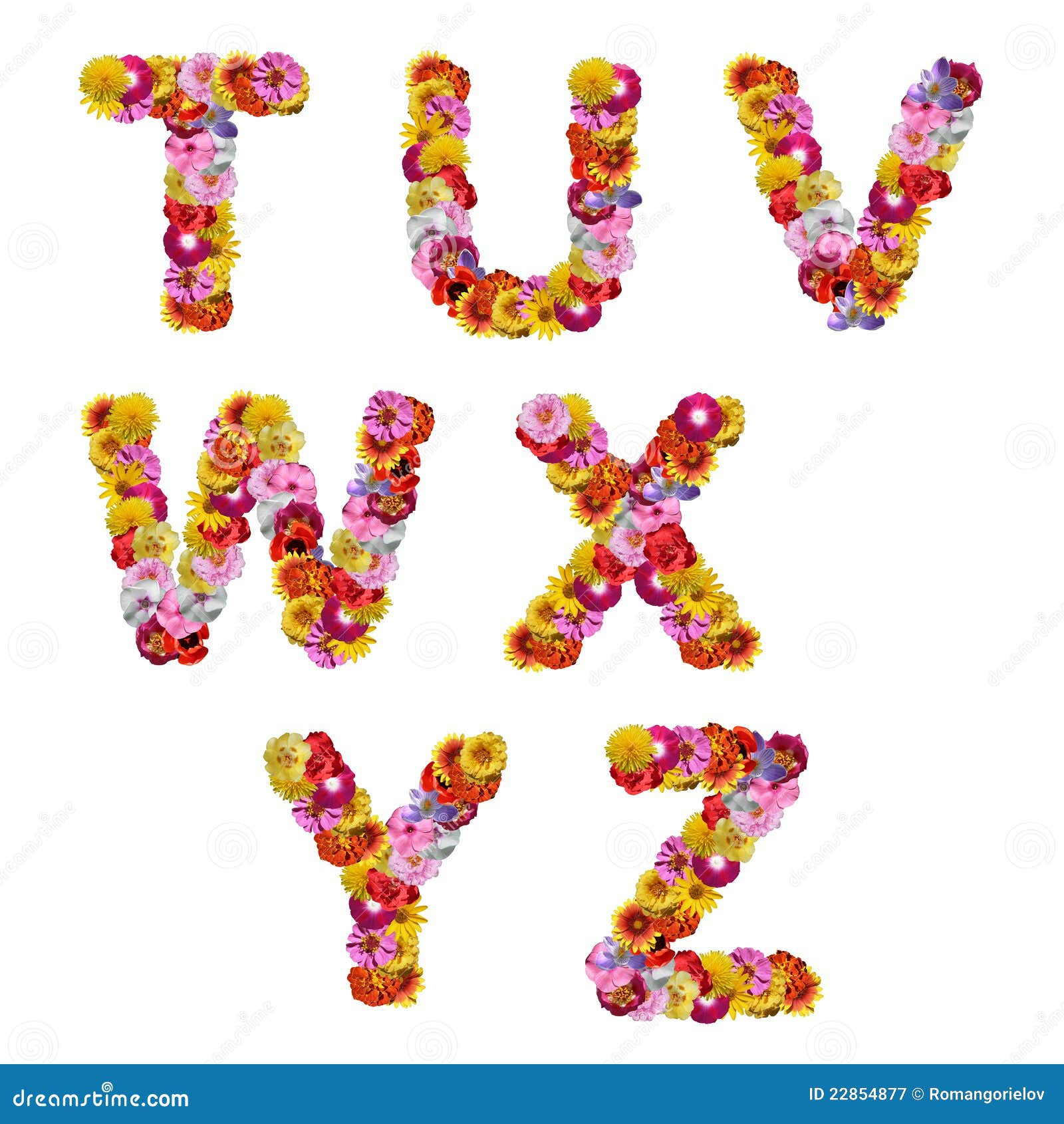 Alphabet Of Flowers Stock Image Image Of Decoration 22854877