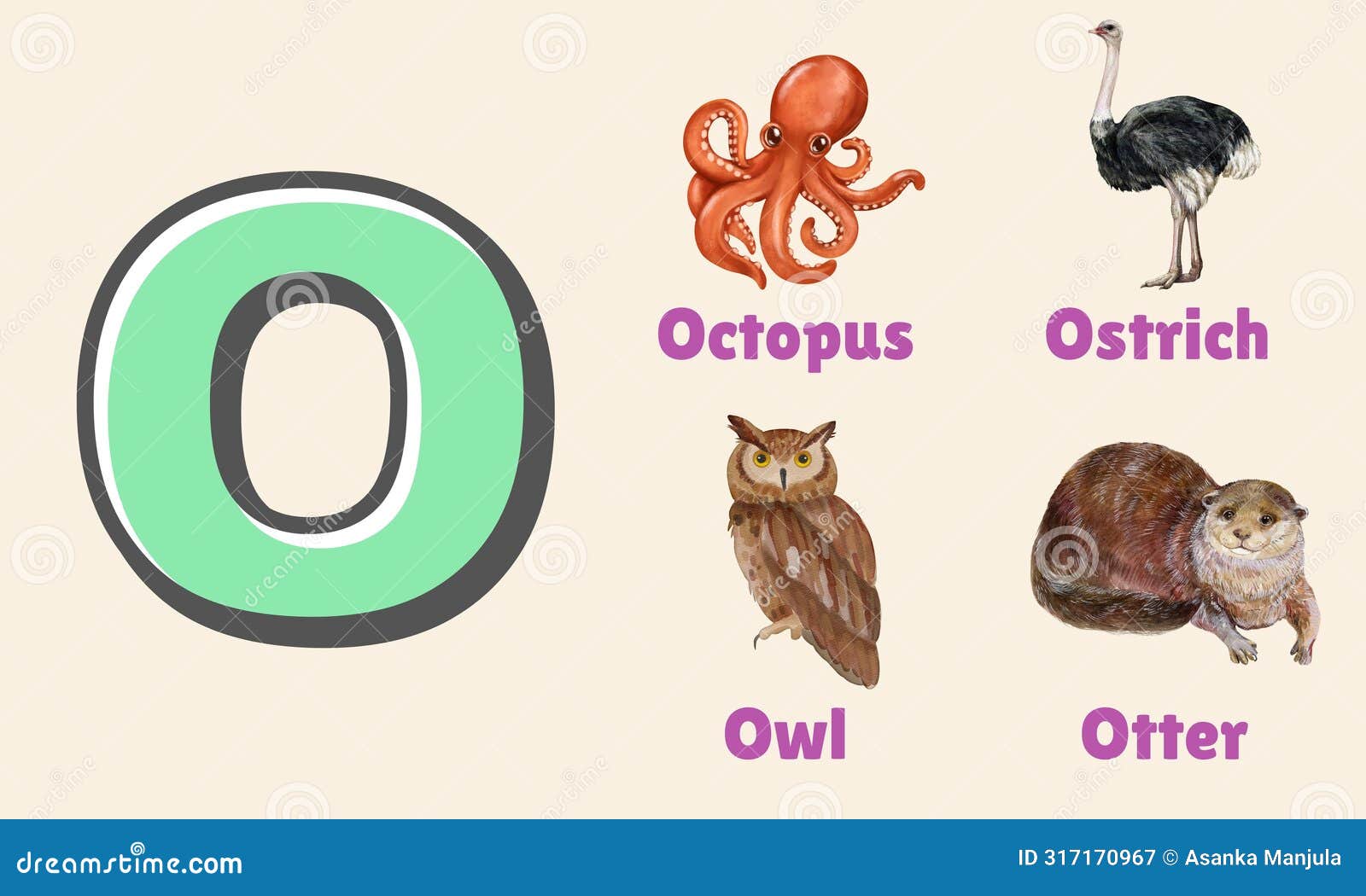 alphabet letter o in pictures, animals starting with o
