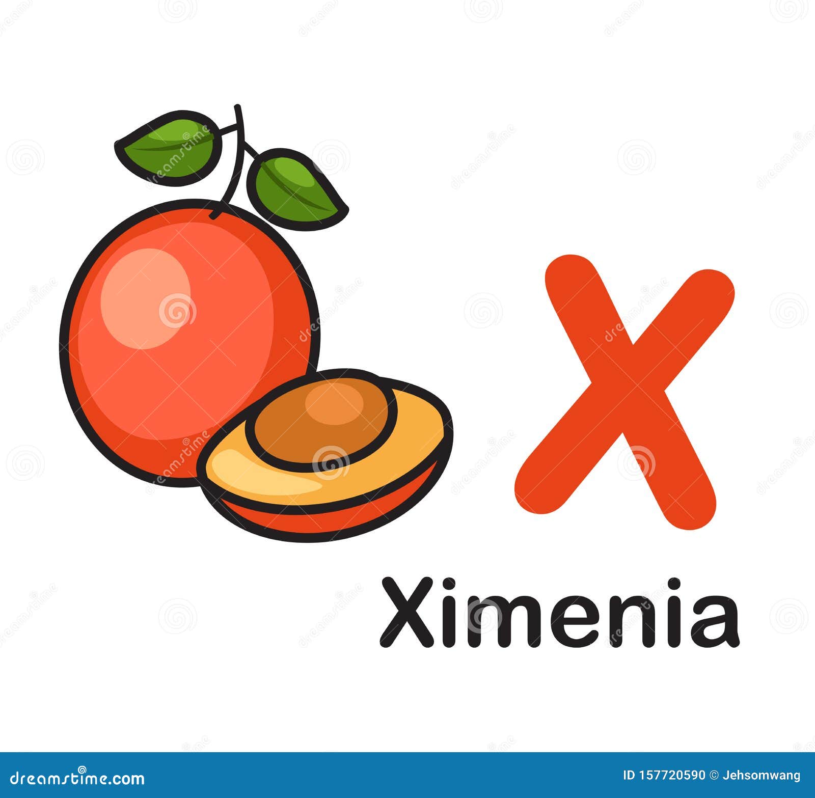 Alphabet Letter X Ximenia Stock Vector Illustration Of Creature