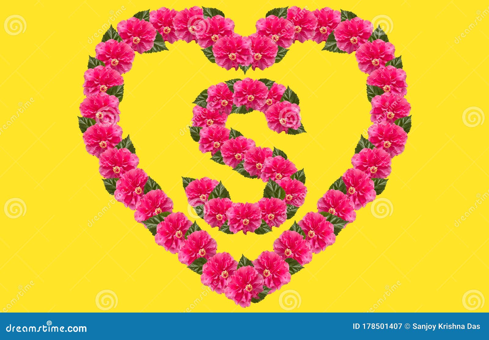 Alphabet S Design Using Pink Hibiscus Flower and Love Shape on ...