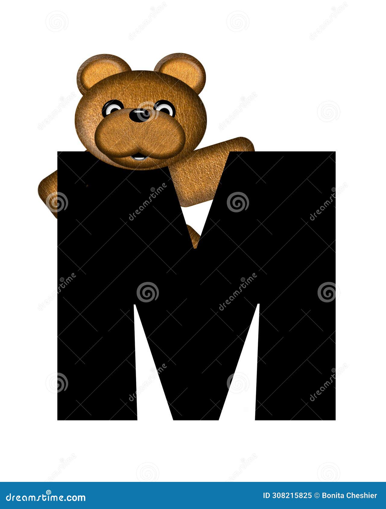 alphabet teddy m