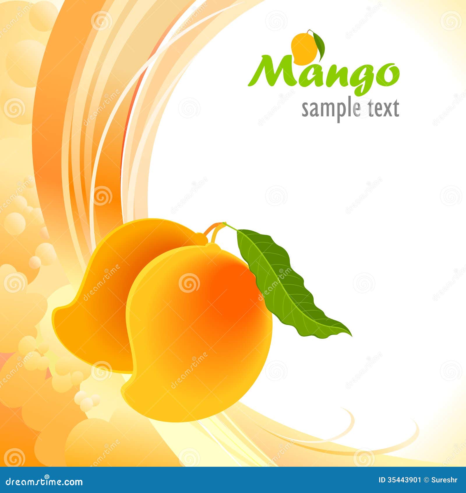 Alphonso Mango the King of Mangoes Stock Vector Illustration of