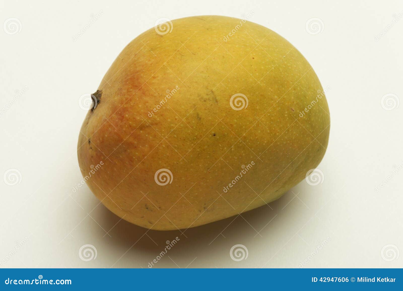 Alphonso Mango from Maharashtra India. Stock Photo Image of object