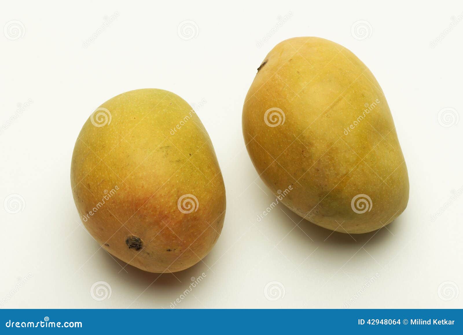 Alphonso Mango from Maharashtra India. Stock Photo Image of