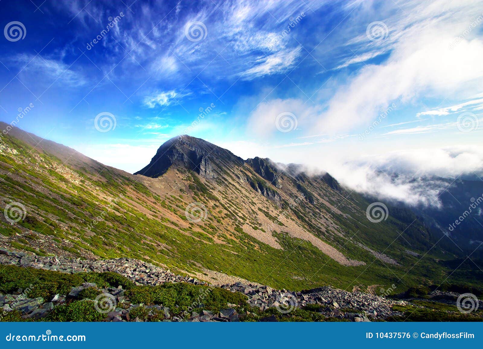 alpine and blue sky