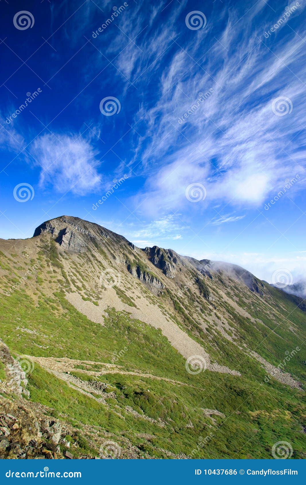 alpine and blue sky