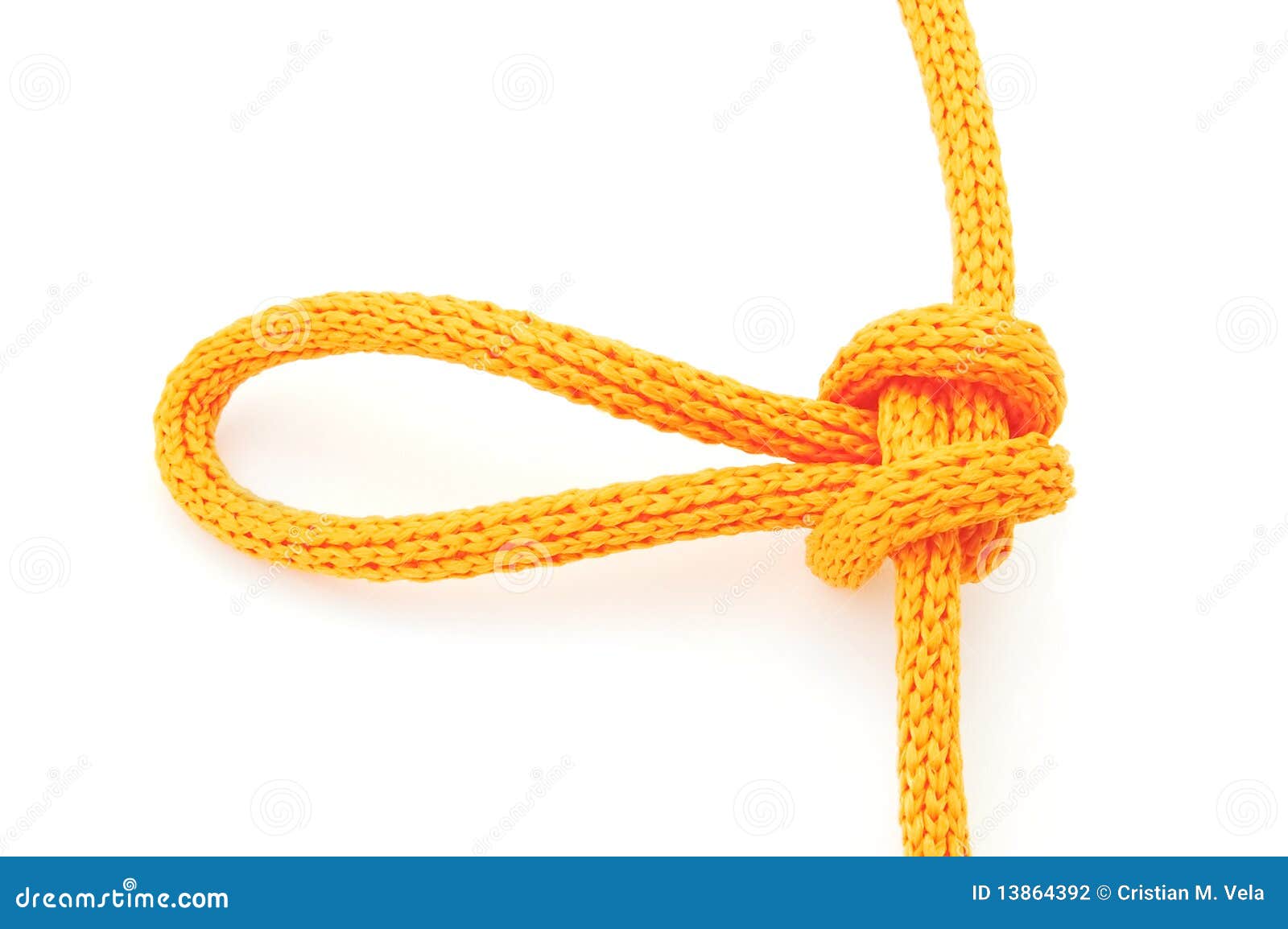 Alpine butterfly knot stock photo. Image of hold, knot 13864392