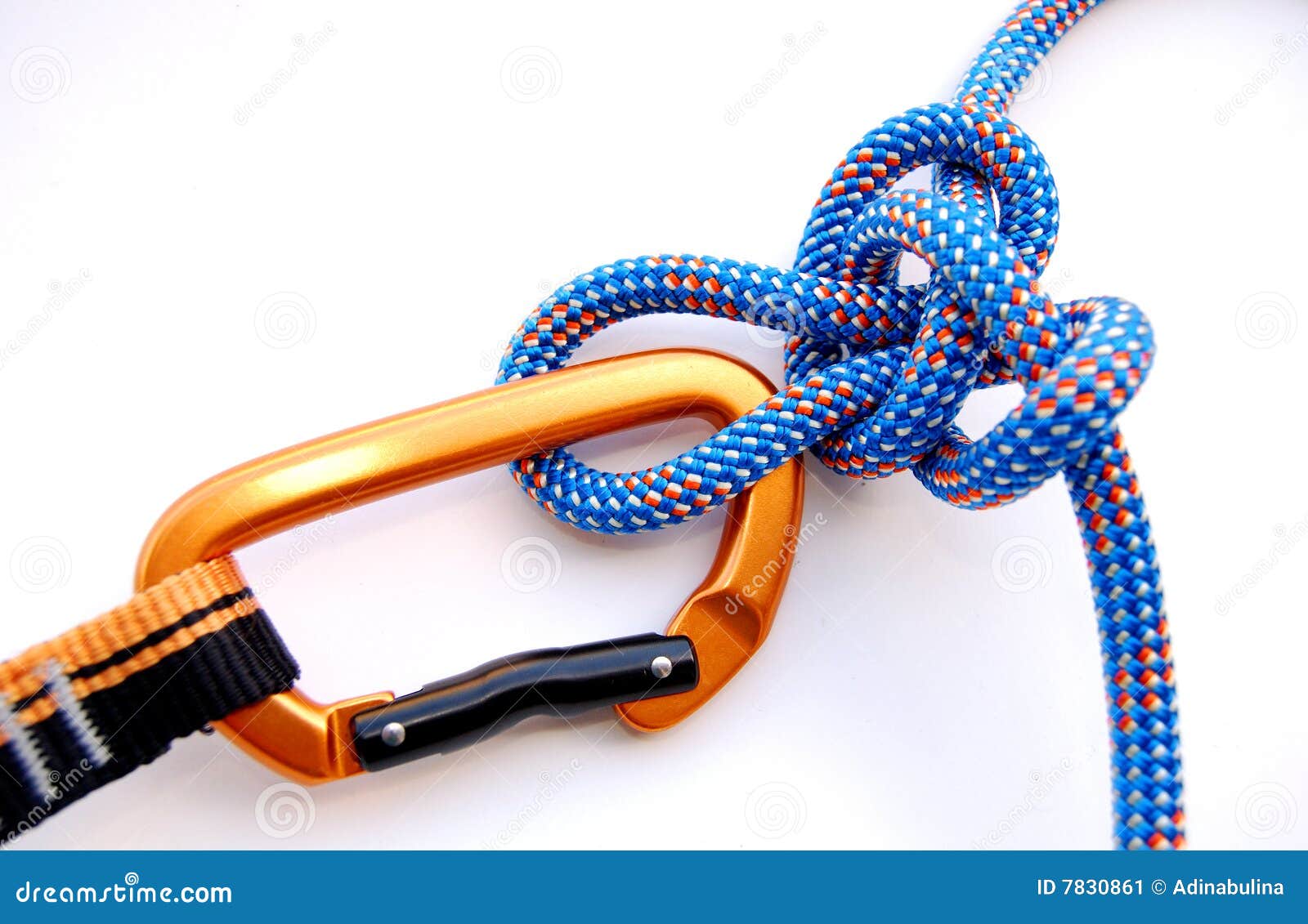Alpine butterfly knot stock image. Image of bundle, macro 7830861
