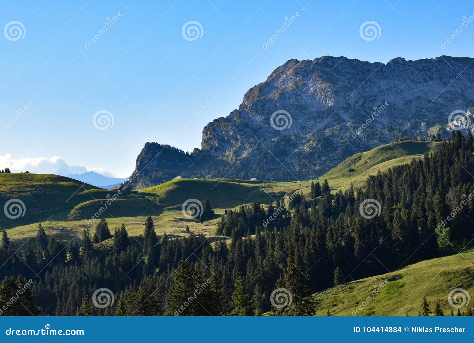 alpine enviroment at the swiss alps