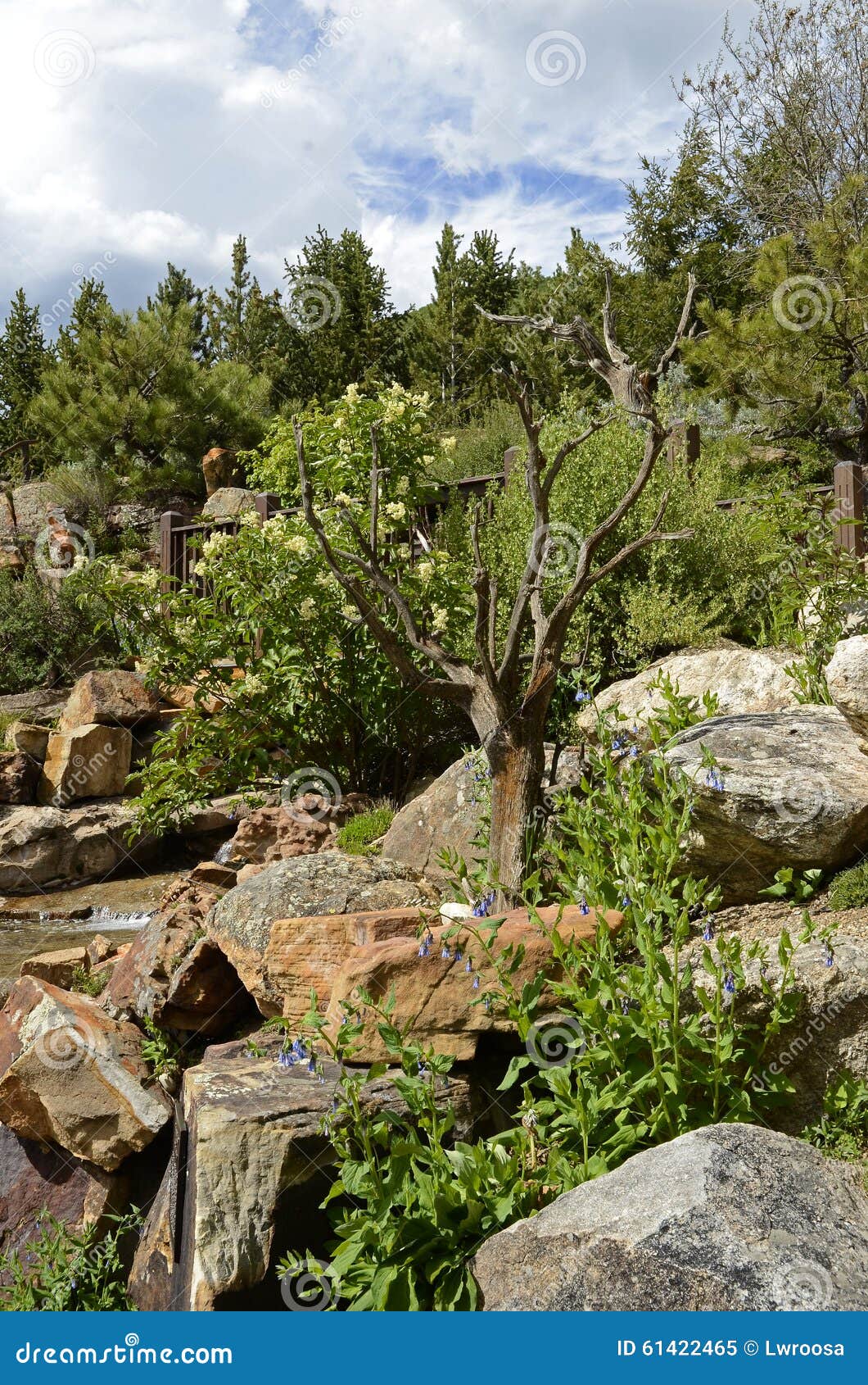 Alpine Garden Stock Image Image Of Ford Scenic Garden 61422465