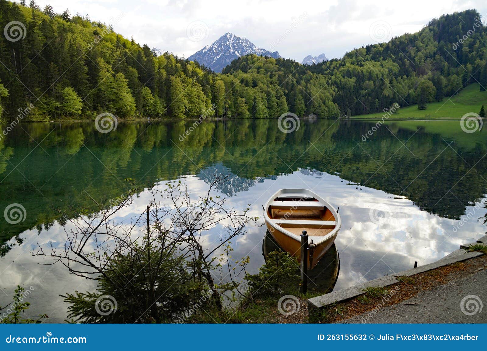 Alpine Lake Alatsee The Snowy Bavarian Alps And Spring Forest