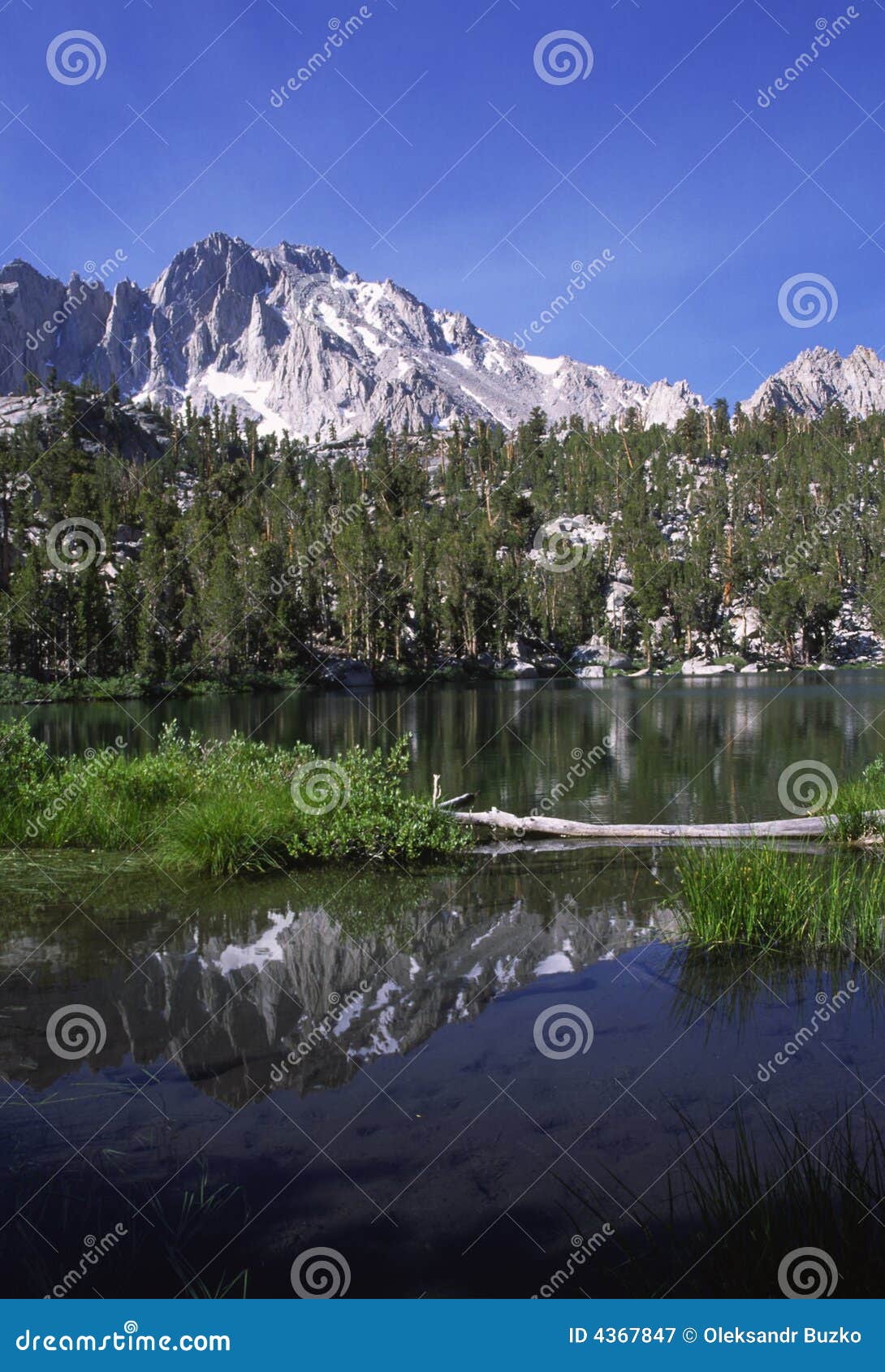 Alpine Lake in Sierra Nevada of California Stock Image Image of