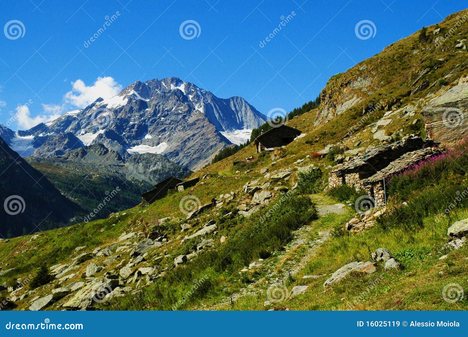 alpine landscape, monte disgrazia