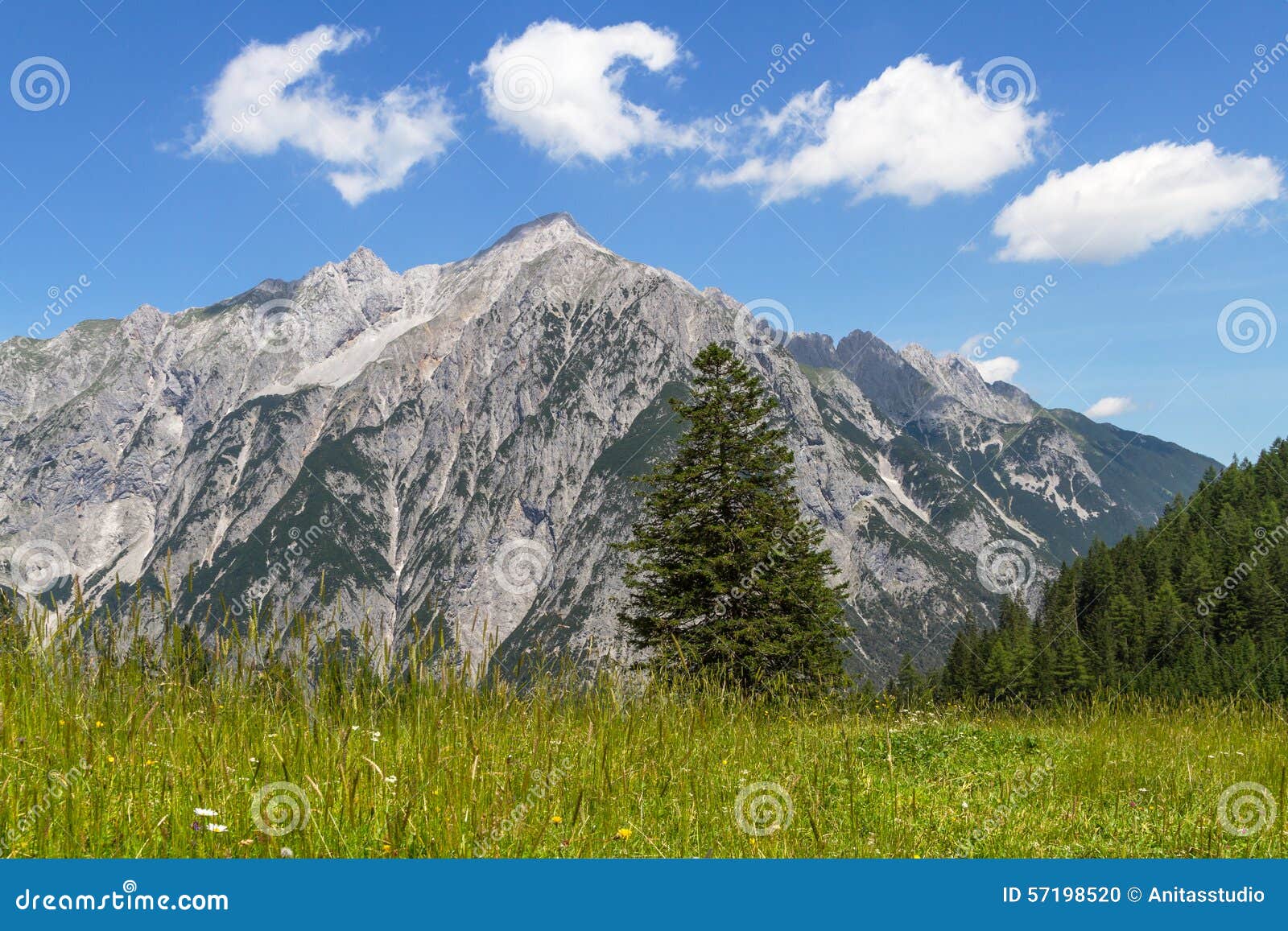 alpine meadow with mountain range in background. austria, tiro