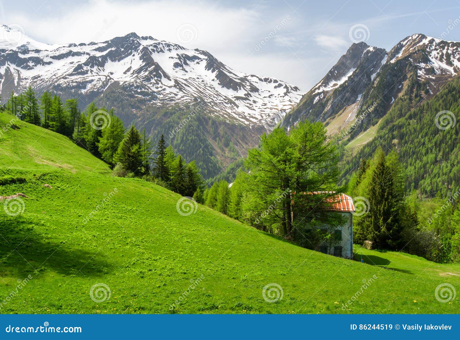 Alpine meadows editorial stock image. Image of country 86244519