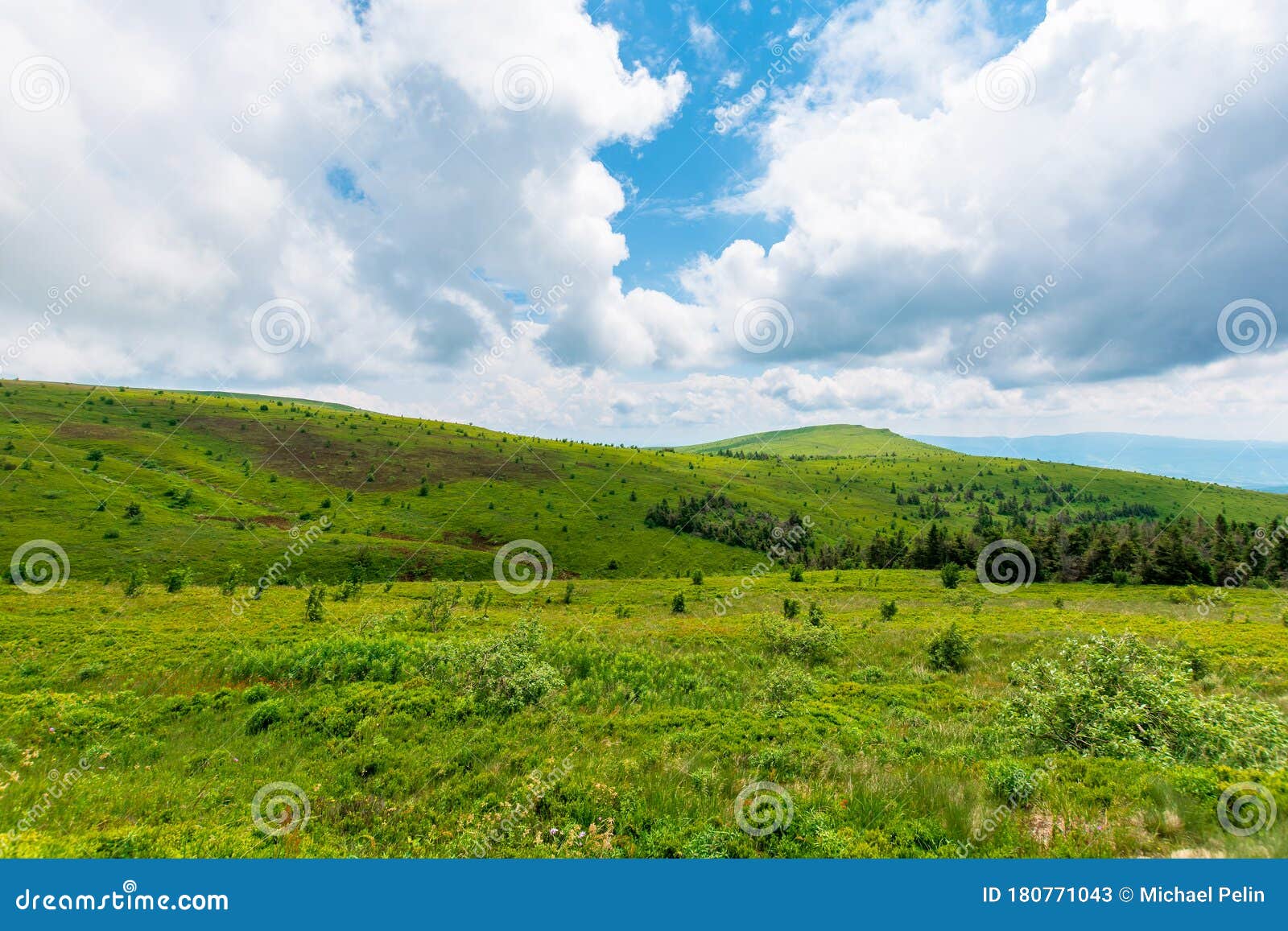 alpine meadows of mnt. runa, ukraine.