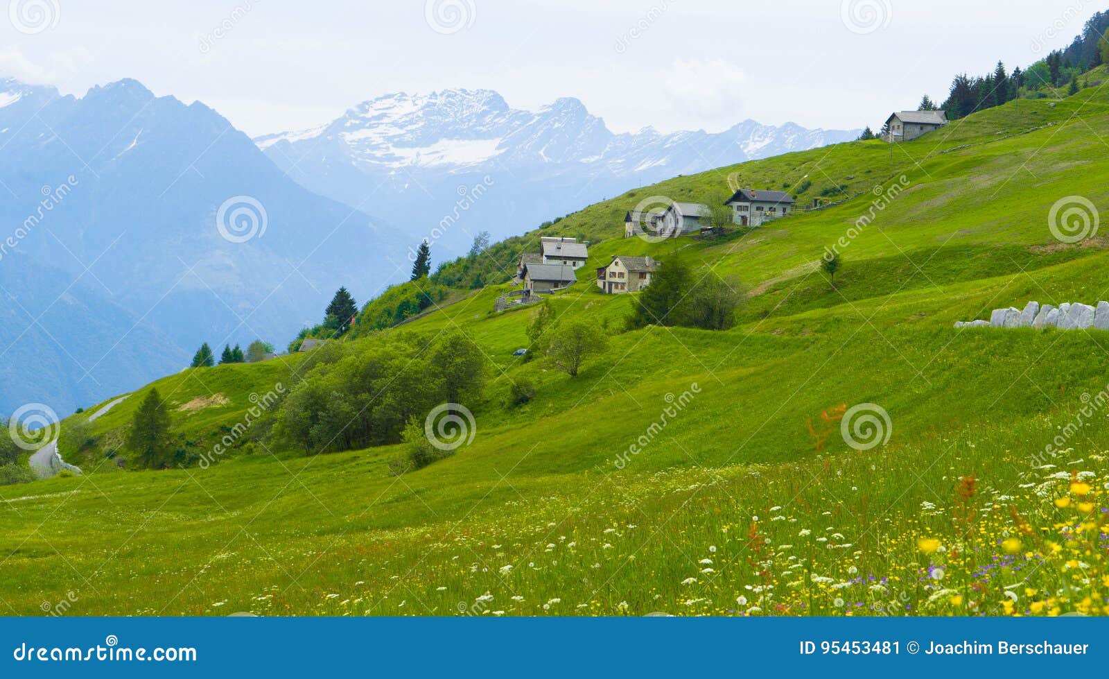 Alpine Suisse Housse de Couette Meadow Alpine Mountains 