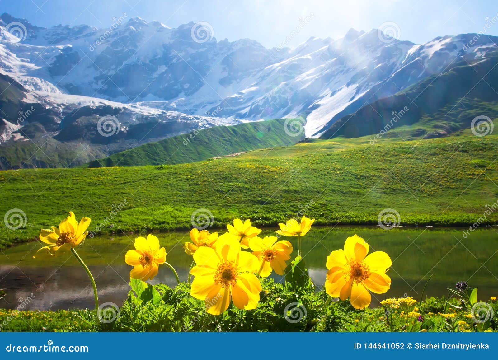 Alpine Mountain Landscape With Yellow Flowers On Foreground On Sunny