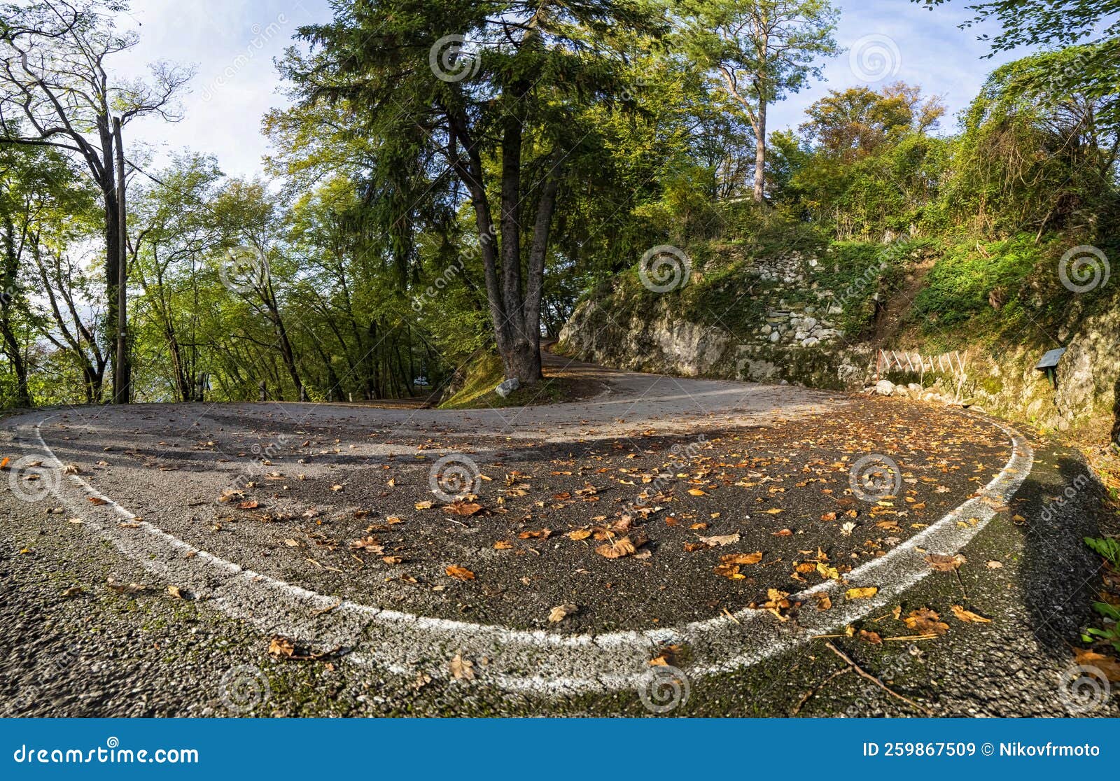 Alpine Road in Autumn with Leaves on the Ground Stock Image Image of