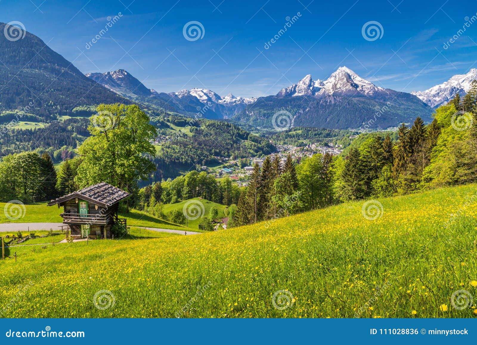 Alpine Scenery With Traditional Mountain Chalet In Summer Stock Photo