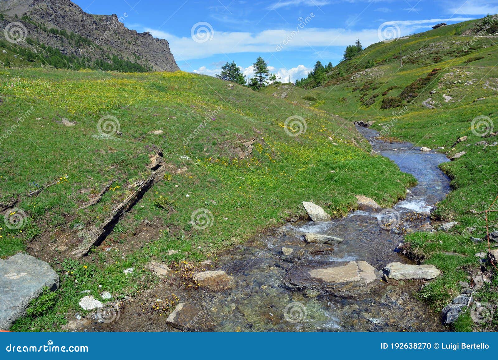 the alpine scenic landscapes of mountains, meadows and flowers at dondena, aosta valley, italy in natural reserve of mount avic