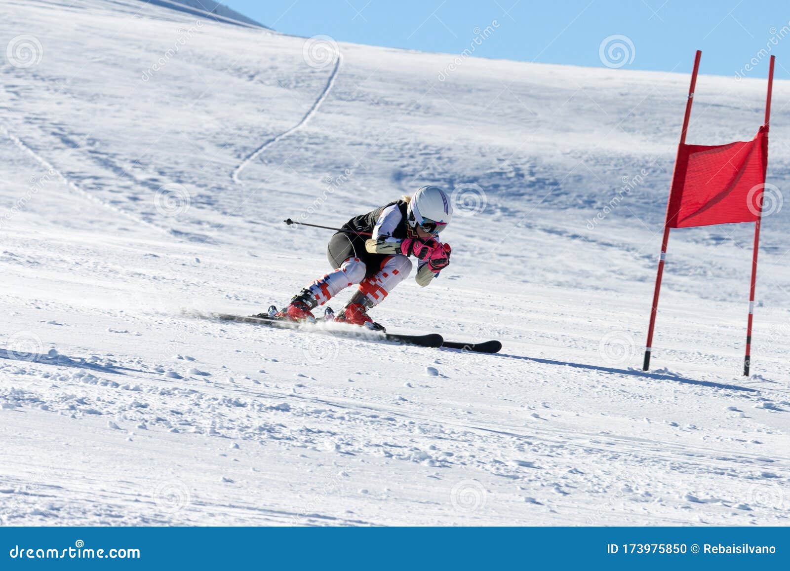 Alpine skiing competition stock photo. Image of grit 173975850