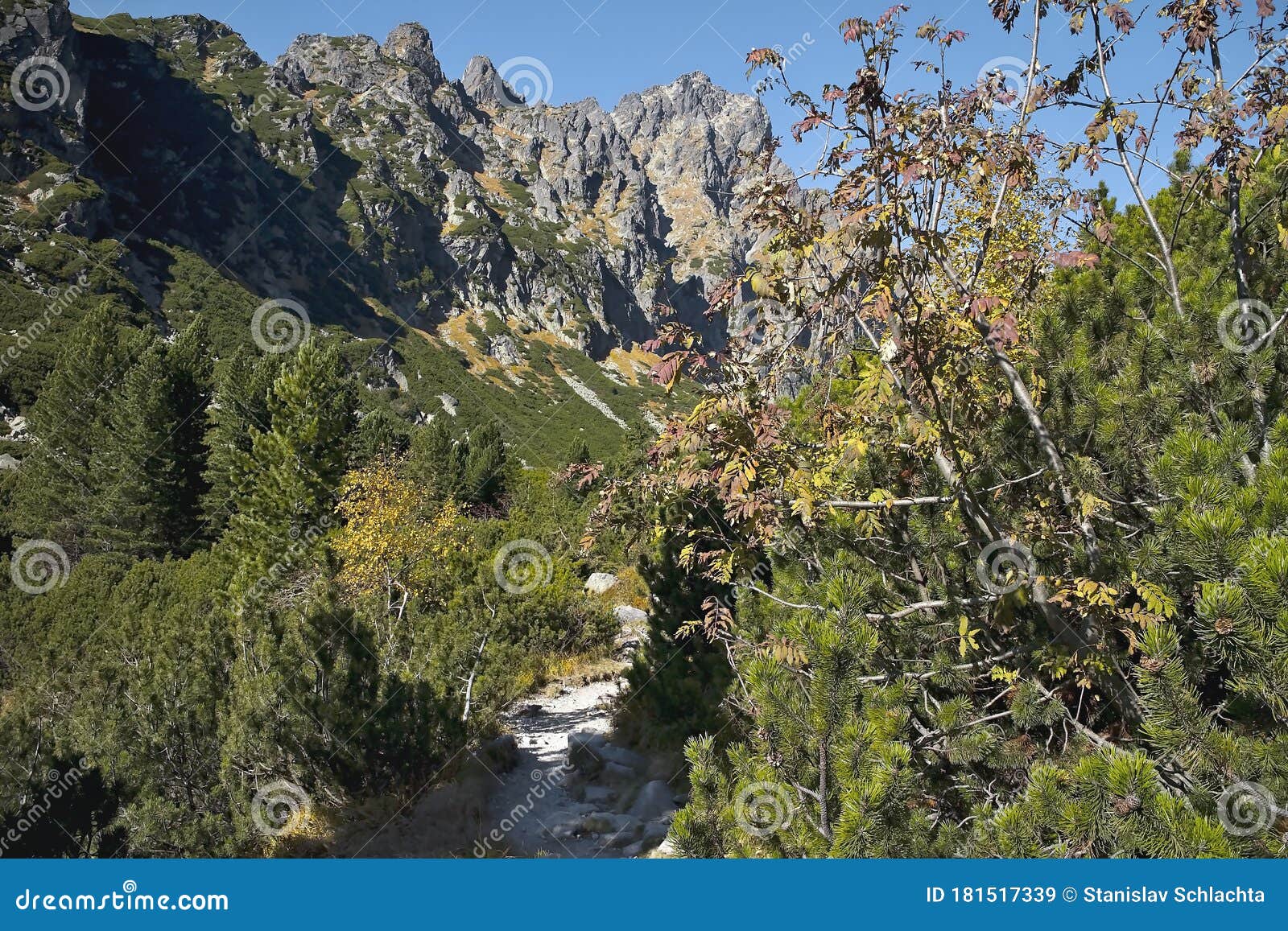 alpine tourism through the little cold valley. tourist path to tery's cottage 2 015 m.n.m in autumn colors