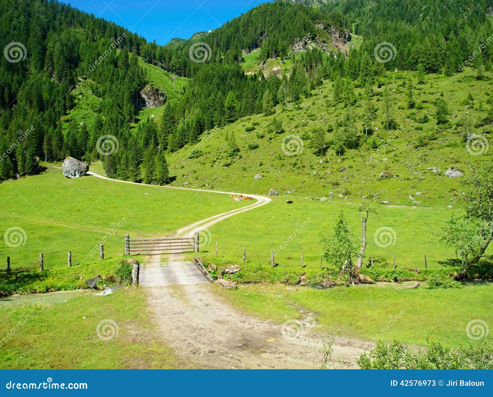 Alpine valley stock image. Image of wallpaper, spring 42576973