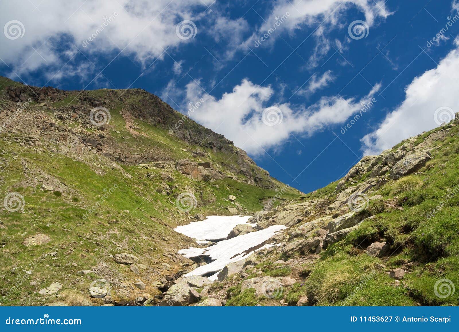 alpine walk in summer
