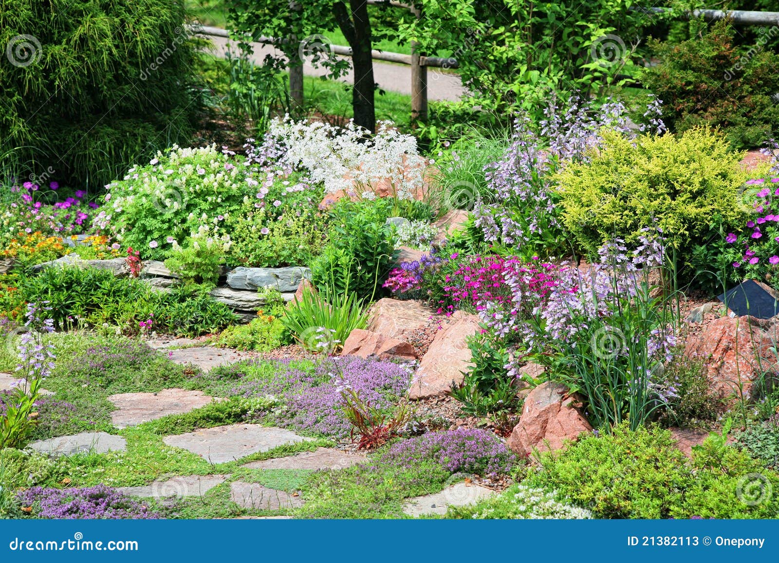 Alpiner FelsenGarten stockbild. Bild von garten, felsen