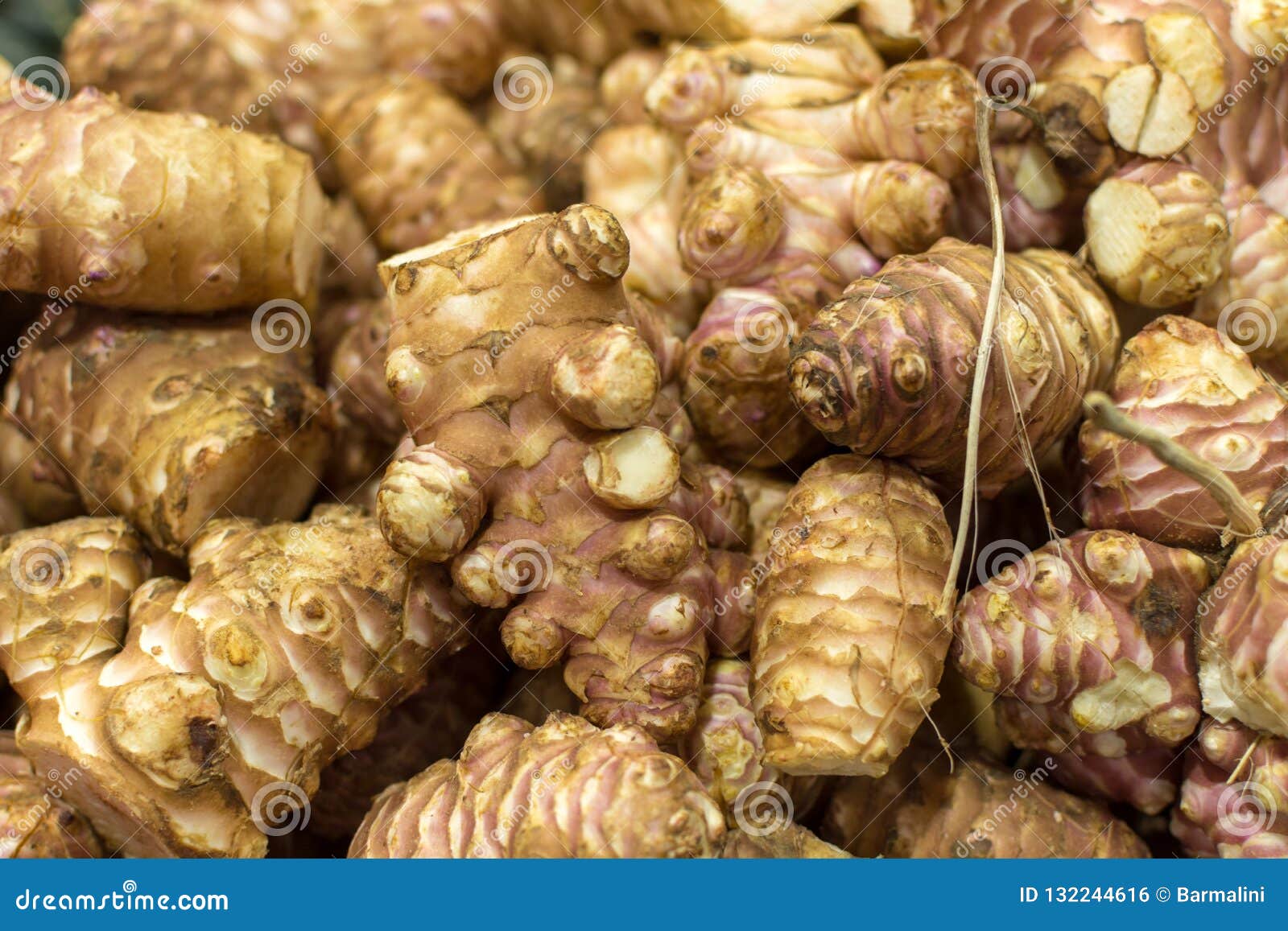 Galanga Root (Alpinia galanga L.)