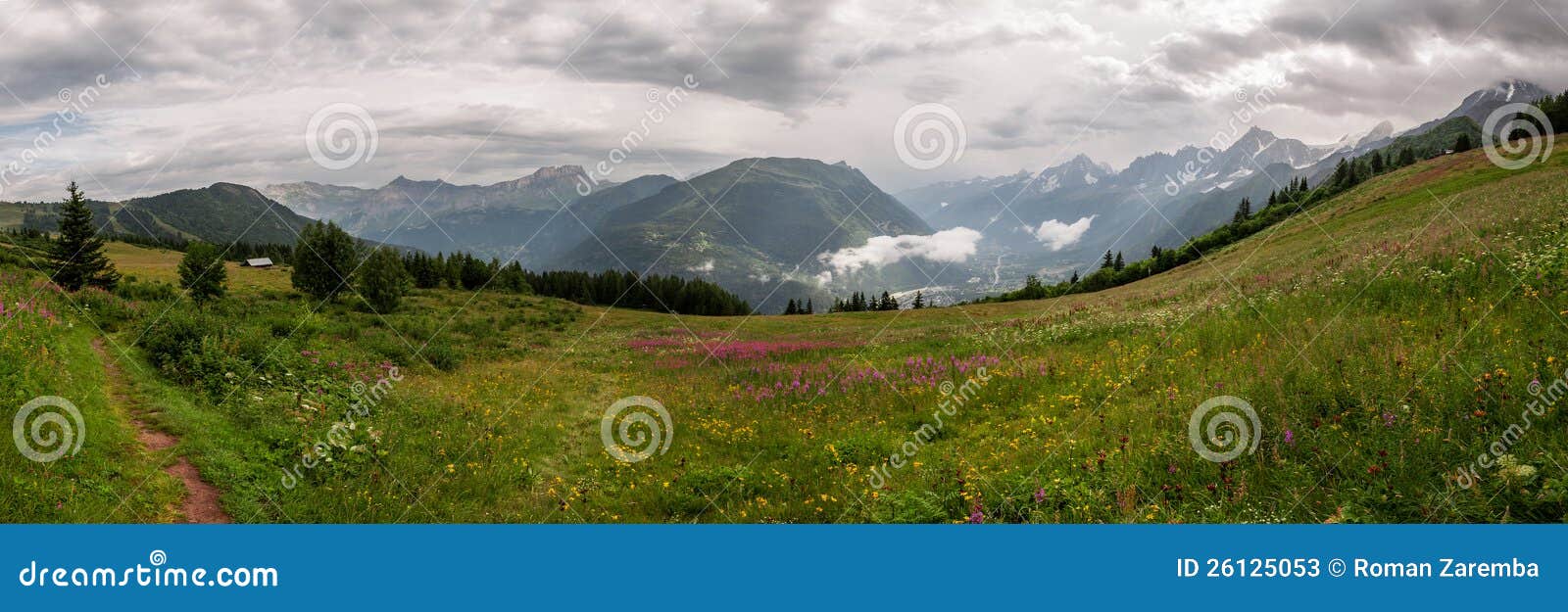 alps, france (col de voza) - panorama